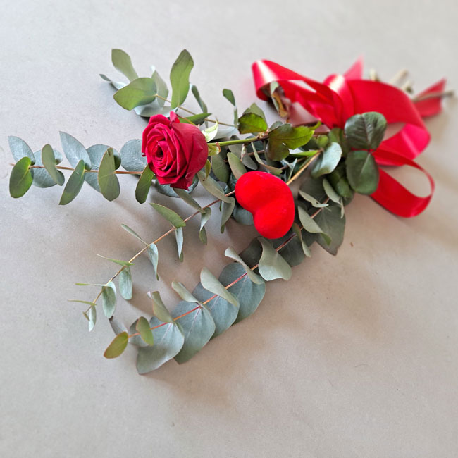 Enviar Una rosa en Barcelona 2 1-rosa-roja-domicilio