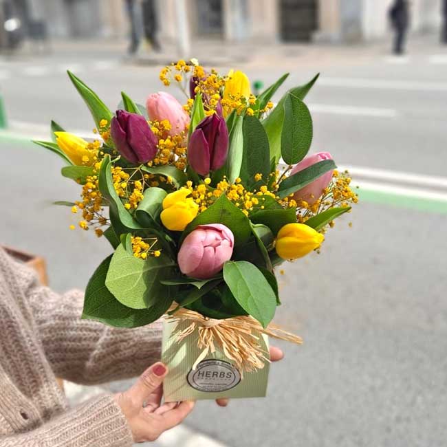 TULIPANES "FRATERNITE" 1 dia-de-la-mujer-barcelona