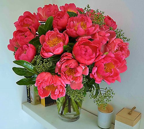 PEONIAS COLOR ROSA "AMOUR" 3 enviar peonias barcelona-comprar