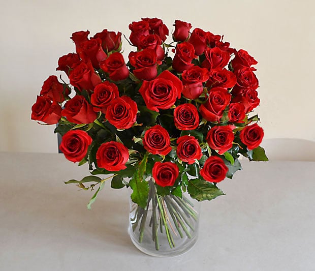 cómo cuidar flores cómo cuidar flores