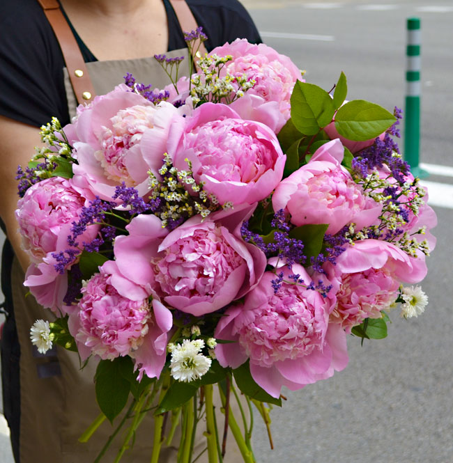 PEONIAS COLOR ROSA "AMOUR" 2 envio-peonias-domicilio-barcelona