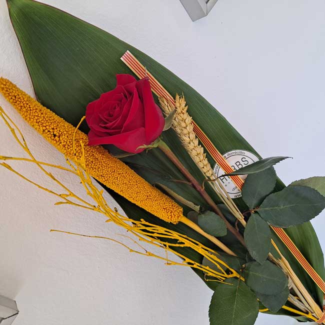 ROSA SANT JORDI "DIADA" 4 enviar-rosa-barcelona-sant-jordi