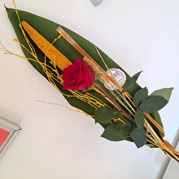 ROSA SANT JORDI "DIADA" 3 rosa-per-sant-jordi