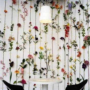 pared flores secas pared flores secas