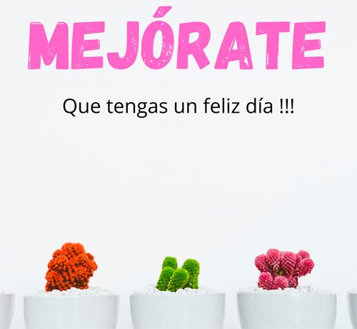 tarjeta-mejorate-cactus