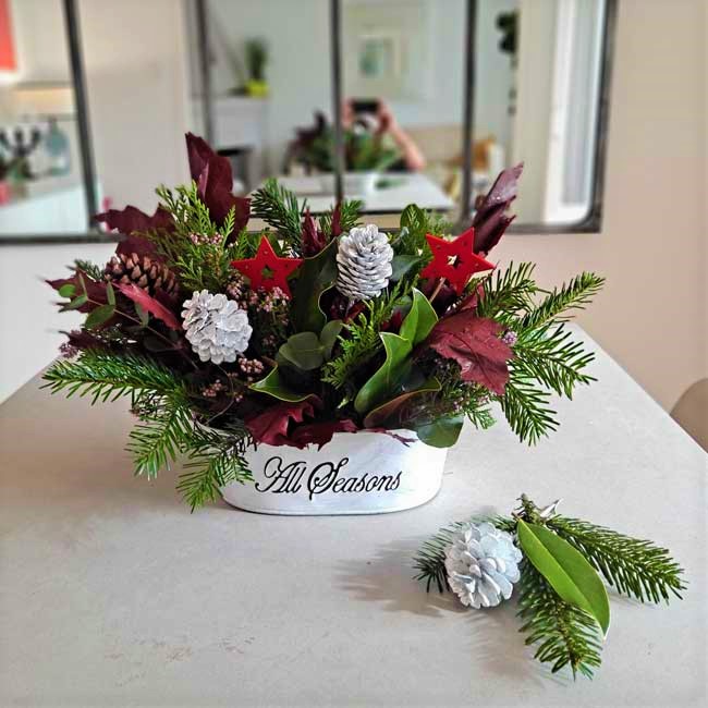 CENTRO NAVIDEÑO CON JARDINERA 4 flores-plantas-navidad