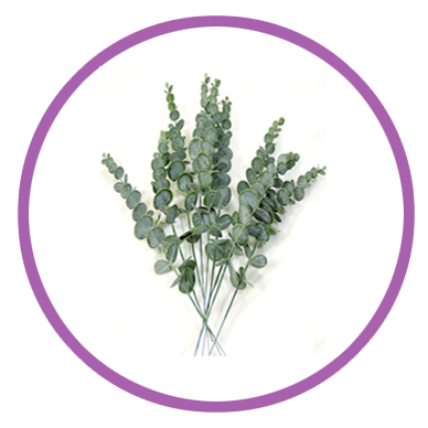 Personalizar flores 26 eucalyptus