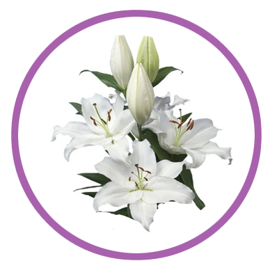 Personalizar flores 10 lilliums