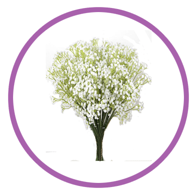 Personalizar flores 23 paniculata