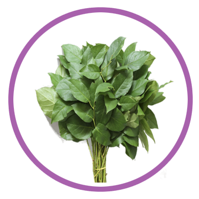Personalizar flores 24 salal barcelona