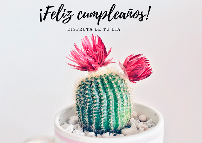 Personalizar flores 29 tarjeta cumple anos