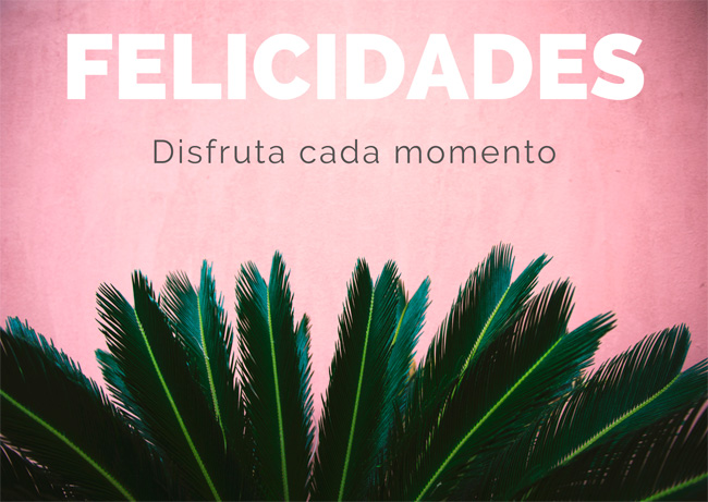 Personalizar flores 31 tarjeta felicidades