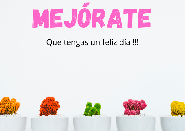 Personalizar flores 32 tarjeta mejorate cactus