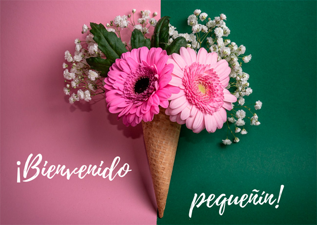 Personalizar flores 33 tarjeta nacimiento