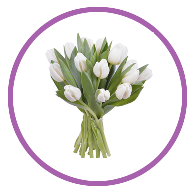 Personalizar flores 14 tulipanes barcelona