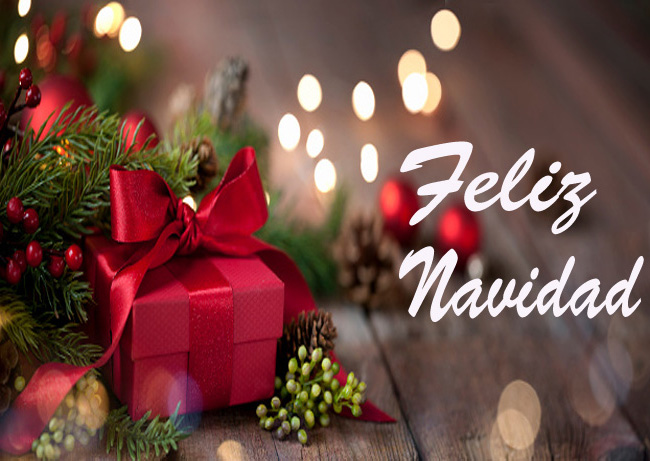 Personalizar flores 35 NAVIDAD3