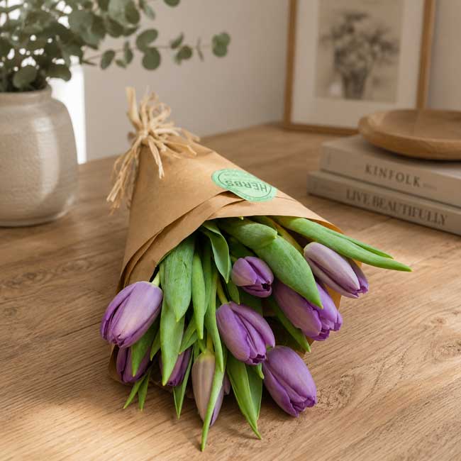 10 tulipanes lila