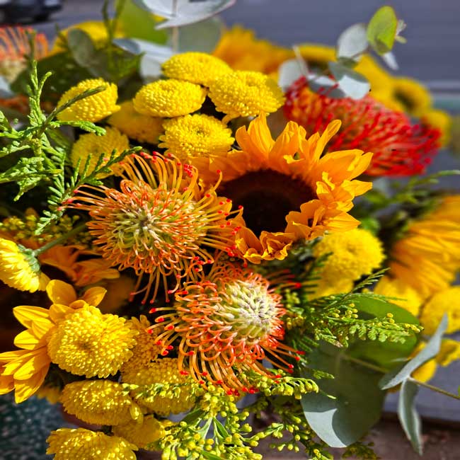 Ramo de otoño con Girasoles y Proteas 2 Flores de Otoño girasol protea
